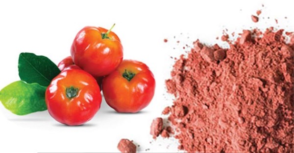 Plant-Ex Ingredients. Zumo de acerola en polvo
