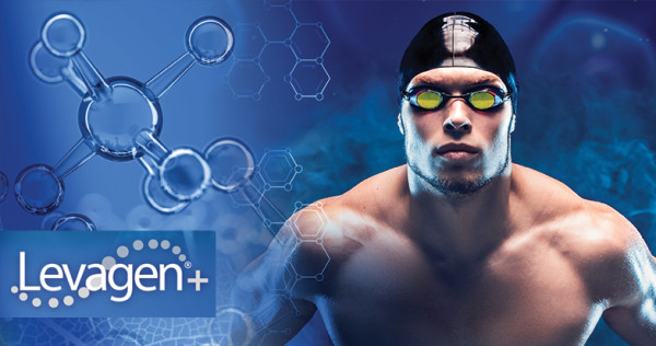 Levagen Plus™ de Gencor Pacific, representada de Solchem Nature