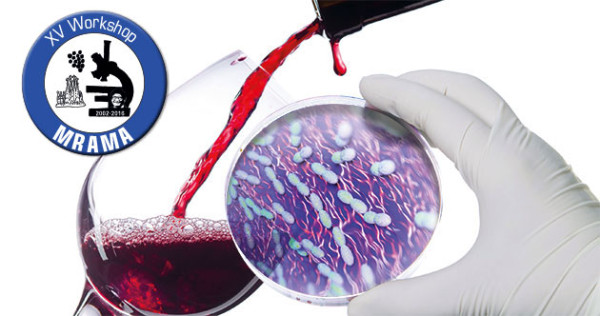 Alteraciones microbiológicas en vino y cava: quiénes las producen y cómo detectarlas