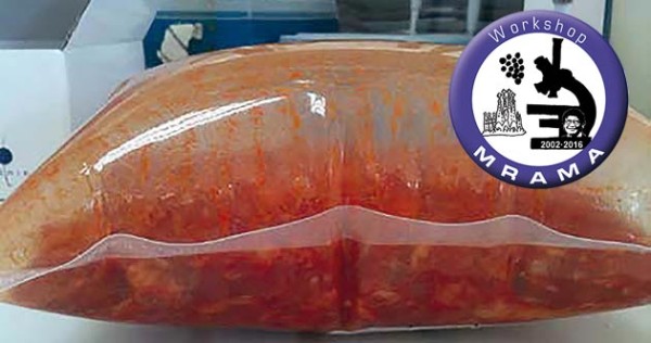 Levaduras en los alimentos: ¿buenas amigas, peores enemigas?