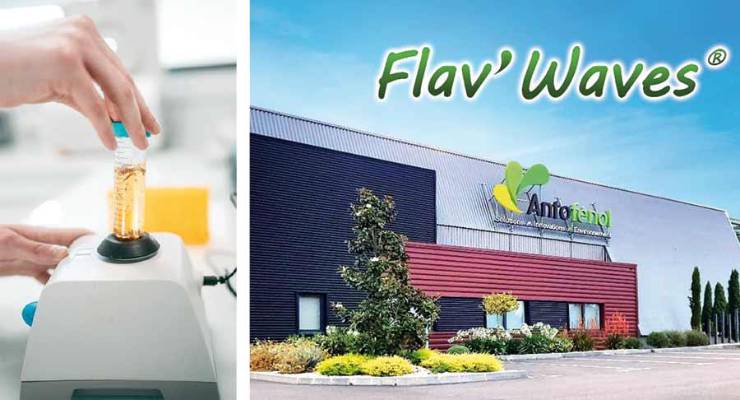 Inquiaroma: Antofénol, innovación en aromas naturales gracias a la ecoextracción vegetal