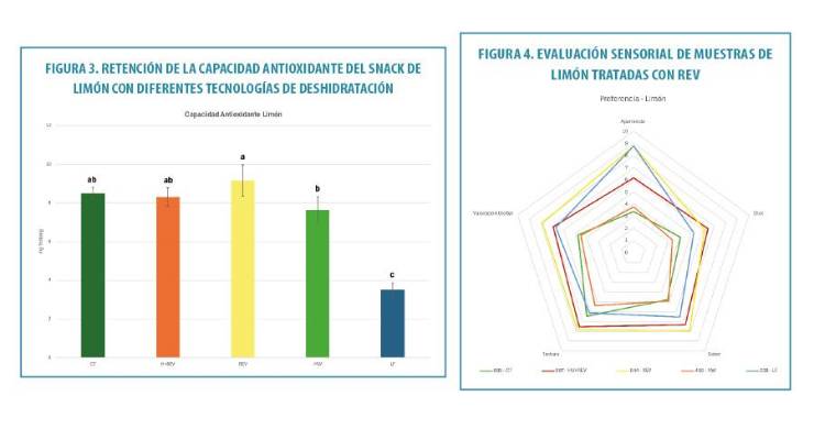 REV: tecnología de deshidratación más eficiente y eficaz para el desarrollo de snacks saludables