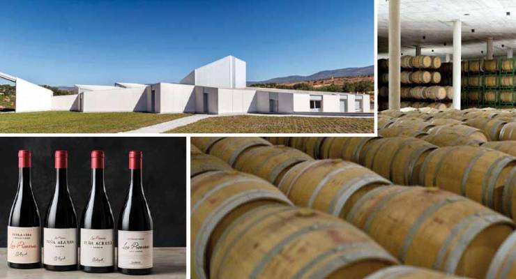 Raíces Ibéricas: “Nuestro objetivo no es solo producir vino, también generar valor ambiental”