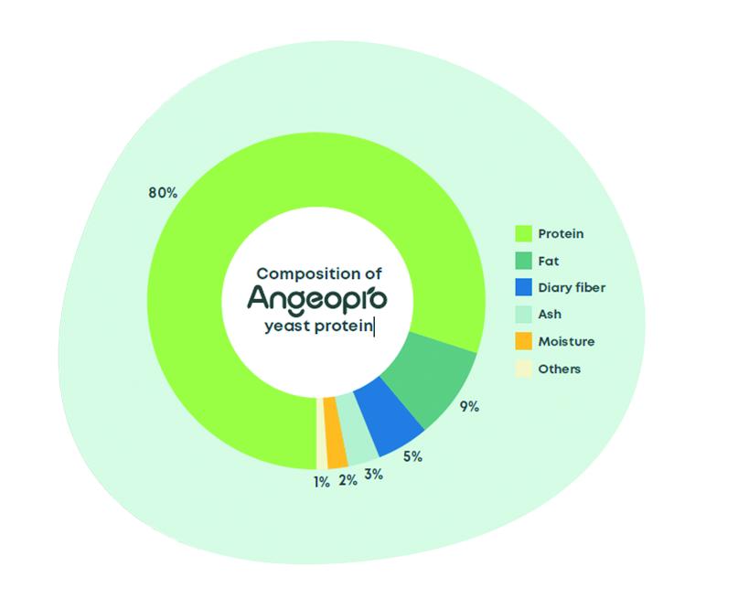 Angel Yeast (OQEMA)