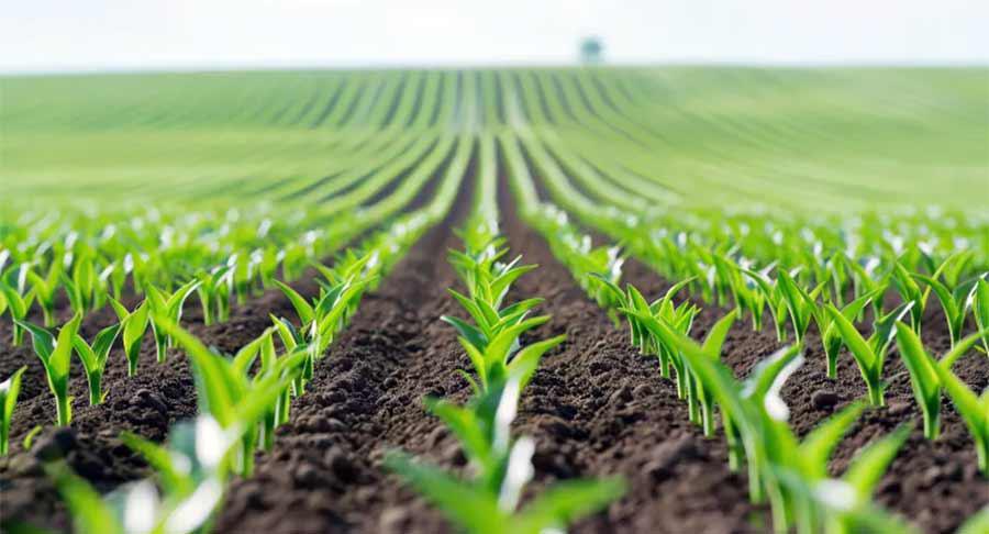 El potencial “transformador” de la biotecnología para la innovación alimentaria y la protección del suelo