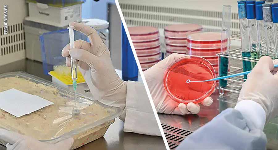 Estudios de estabilidad microbiológica y vida útil ante las nuevas tendencias de consumo