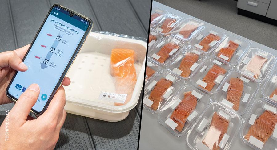 Envases inteligentes y sostenibles: innovación en la conservación y gestión para productos frescos