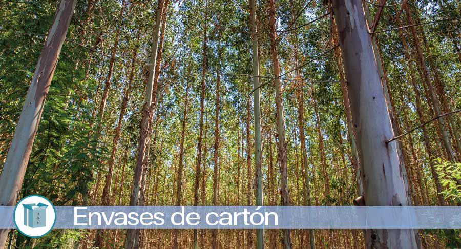 Las fake news extendidas y la percepción del envase de papel y cartón