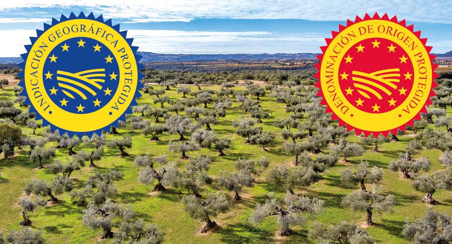 Nuevas DOP Aceite de Somontano e IGP Aceite de Menorca