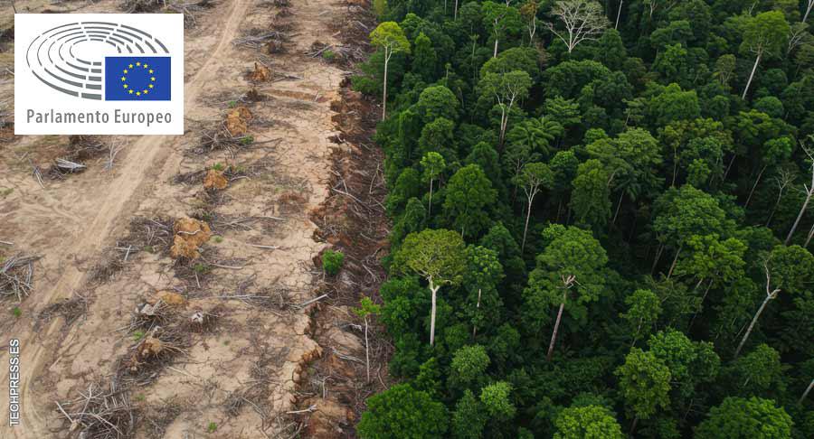 La aplicación de la ley contra la deforestación, aplazada por la UE durante un año