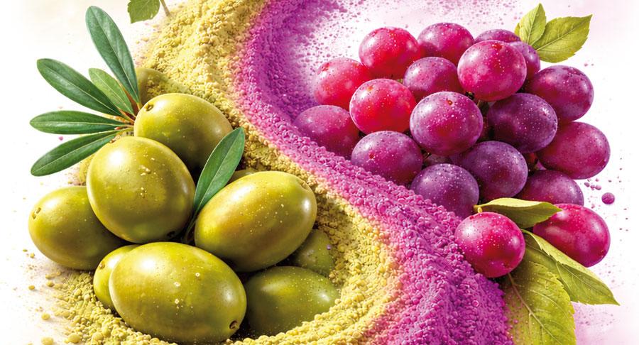 Teralive®, un ingrediente funcional de Alvinesa