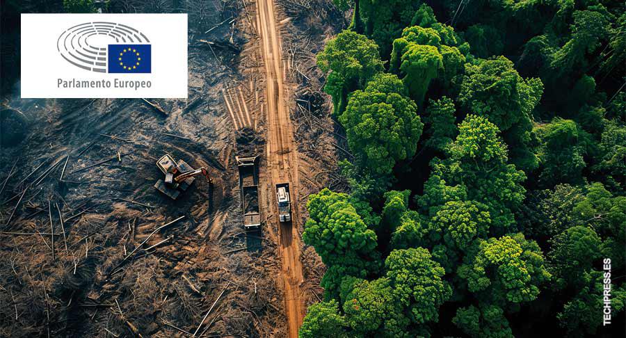 La aplicación de la ley contra la deforestación, aplazada por el Parlamento Europeo