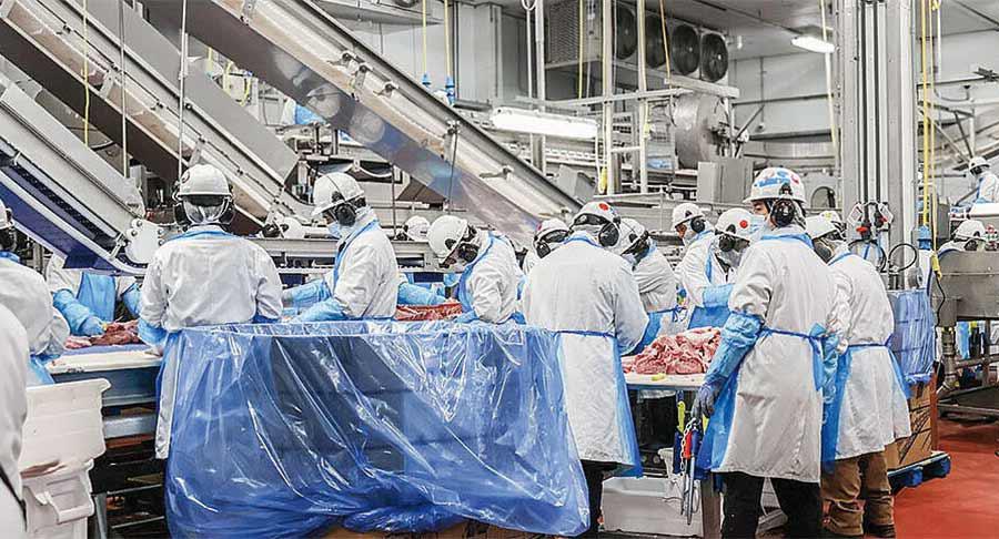 CSB-System proporciona avanzadas soluciones digitales para la producción de carne de cerdo