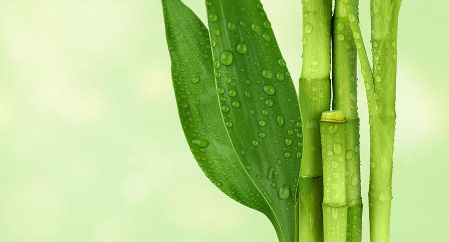 Bloosil, un avanzado ingrediente en el catálogo de Inquiaroma