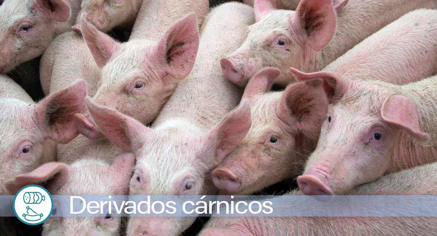 Interporc respalda las medidas de contención para la peste porcina africana