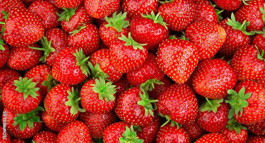 IGH destaca los cinco sabores más trending para nuevos alimentos y bebidas funcionales