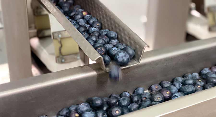 Tarnos, alimentadores electromagnéticos para un control total del proceso