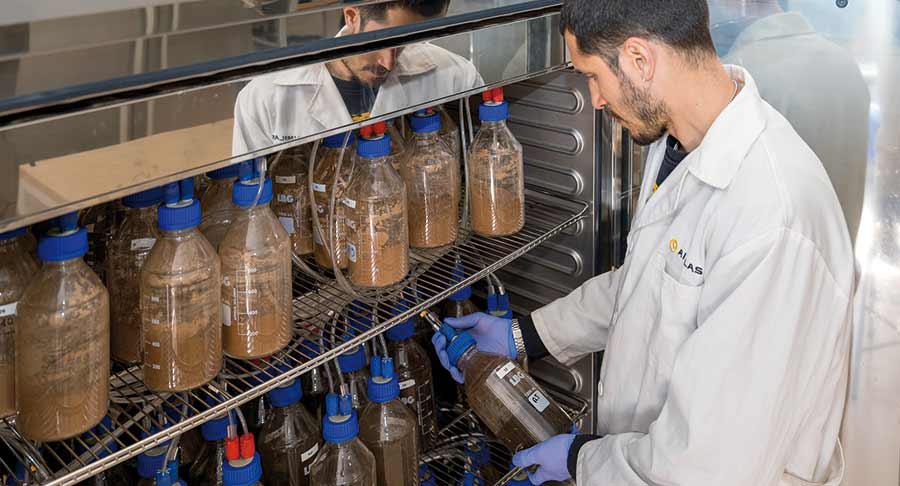 Los ensayos de compostabilidad y biodegradación de Aimplas, reconocidos en Australia y Japón