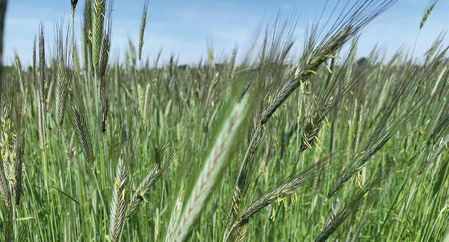 amitahc presenta las ventajas de RCT Fem™ UI para reducir la incontinencia urinaria en mujeres