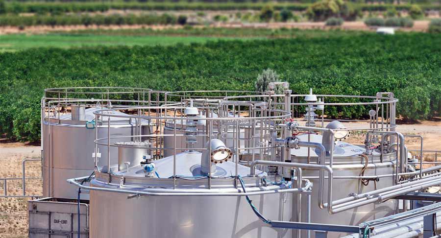 CDP vuelve a certificar el compromiso de Kensing con la sostenibilidad y transparencia