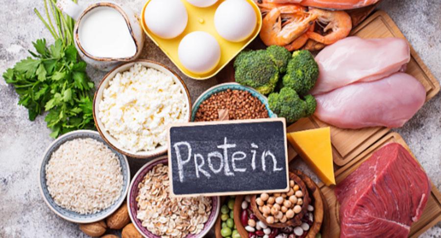 Auge de la proteína