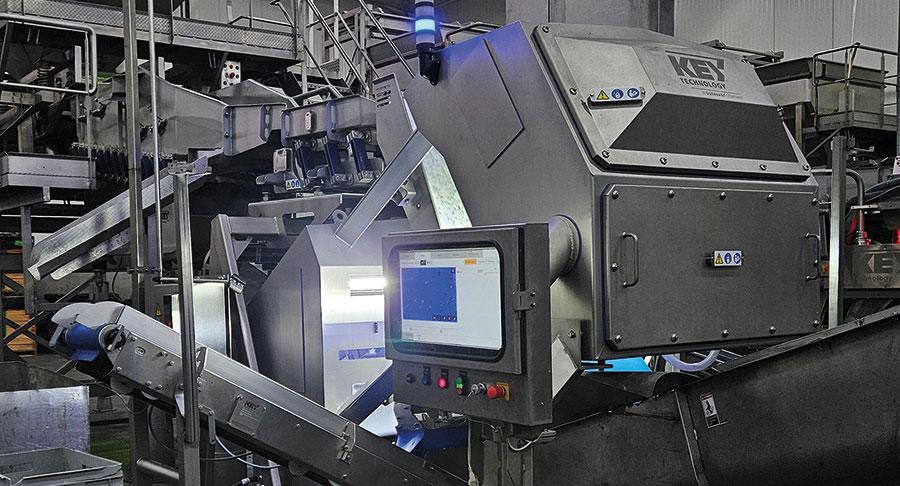 Nuevo clasificador óptico Compass para verduras frescas e IQF de Key Technology