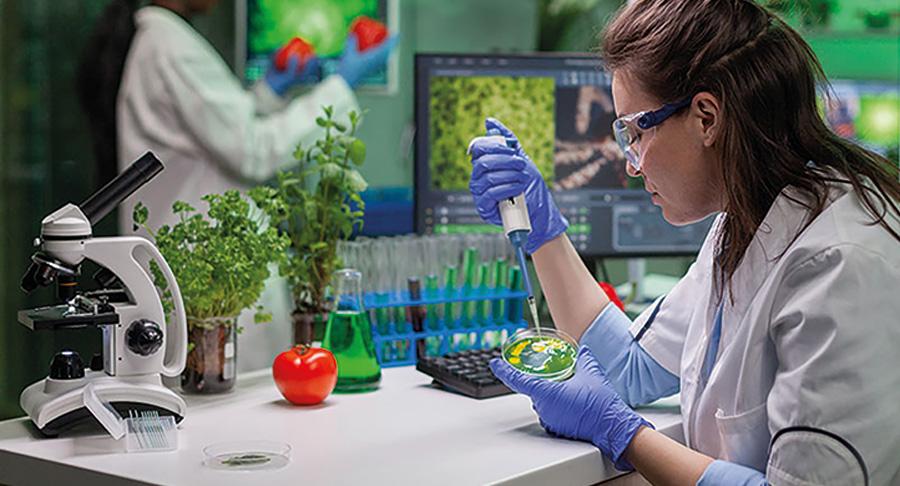 Proteínas alternativas y avances en tecnologías ómicas y de fermentación, resultados de la Red Optiprot